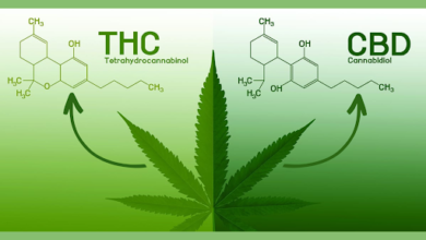 CBD and THC